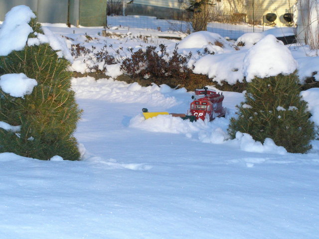 [Through the Forest]