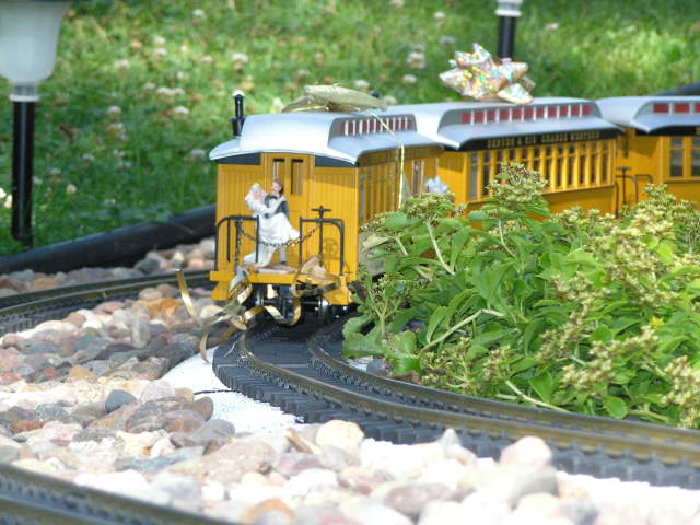 [The Bride and Groom]